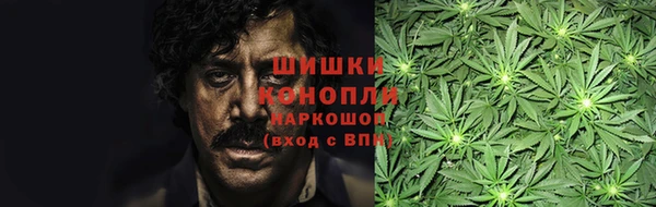 сатива Киренск