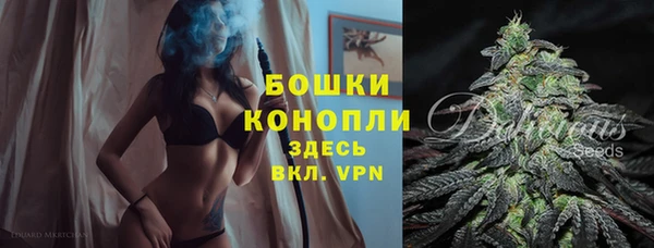 сатива Киренск