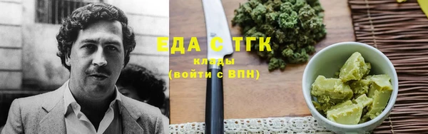 прущие грибы Каменногорск