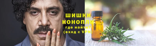дживик Кинешма