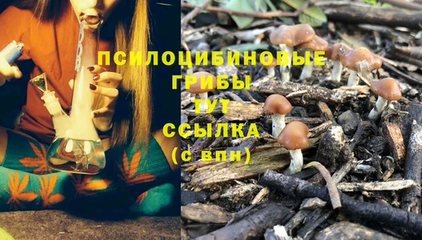 дживик Кинешма