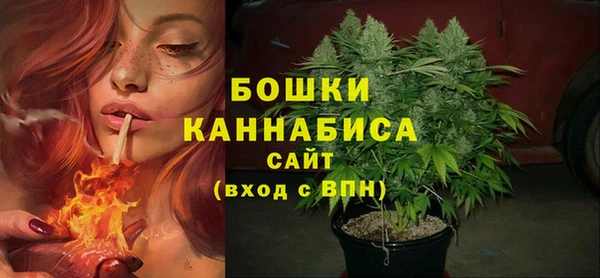 дживик Кинешма