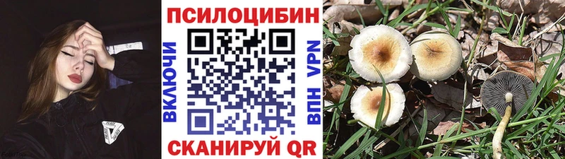 ссылка на мегу рабочий сайт  Малгобек  Галлюциногенные грибы Cubensis 